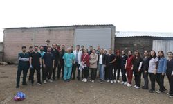 Diyarbakır’da veteriner hekimlerden saha çalışması