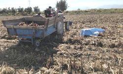 Manisalı çiftçi tarlada ölü bulundu