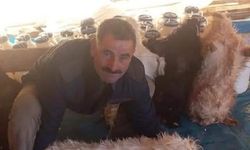 Diyarbakır'da çobana yıldırım isabet etti