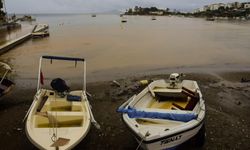 Aşırı yağış sonrası deniz çamur rengine büründü