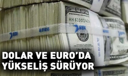 Dolar ve euro'da yükseliş sürüyor