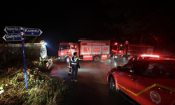 Trabzon'un dört ilçesinde yangın paniği