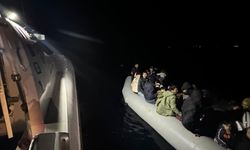 81 düzensiz göçmen yakalandı
