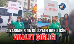 Diyarbakır'da Gülistan Doku için adalet çığlığı