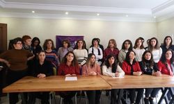 Diyarbakır’da bir yılda bin 499 kadın şiddet görmüş