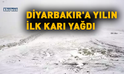 Diyarbakır'a yılın ilk karı yağdı