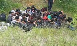 Kırklareli'nde 37 kaçak göçmen yakalandı
