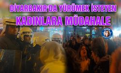 Diyarbakır’da kadın yürüyüşüne polis müdahalesi