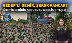 HEDEP’li Demir, şeker pancarı üreticilerinin sorununu Meclis’e taşıdı