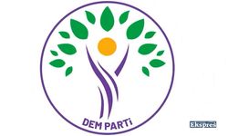 DEM Parti 3 kentte daha aday çıkarma kararı aldı