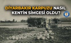 Diyarbakır Karpuzu nasıl kentin simgesi oldu?