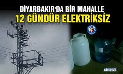 Diyarbakır'da bir mahalle 12 gündür elektriksiz