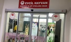 Diyarbakır’da evcil hayvanlar için yeni adım