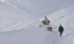Hakkari'de karla mücadele