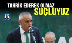 Bursaspor Başkanı: Tahrik ederek olmaz, suçluyuz