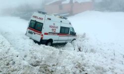 Bingöl'de ambulans yoldan çıktı: 5 yaralı