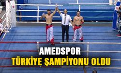 Amedspor, Türkiye şampiyonu oldu