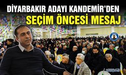 Diyarbakır adayı Kandemir’den seçim öncesi mesaj