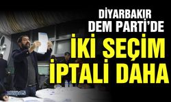 Diyarbakır DEM Parti’de iki seçim iptali daha