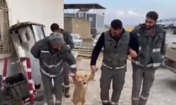 Diyarbakır’da işçiler, sevimli köpekle halaya durdu