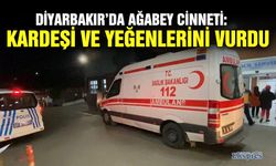 Diyarbakır’da ağabey cinneti: Kardeşi ve yeğenlerini vurdu