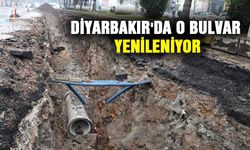 DİYARBAKIR'DA O BULVAR YENİLENİYOR