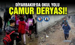 Diyarbakır'da okul yolu çamur deryası!