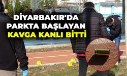 Diyarbakır'da parkta başlayan kavga kanlı bitti