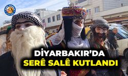 Diyarbakır’da Serê Salê kutlandı