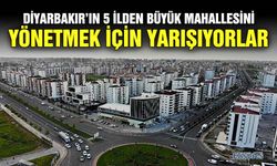 Diyarbakır’ın 5 ilden büyük mahallesini yönetmek için yarışıyorlar