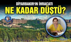 Diyarbakır'ın ihracatı ne kadar düştü?