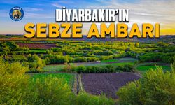 Diyarbakır’ın sebze ambarı: Hevsel Bahçeleri