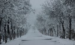 Diyarbakır için kar yağışı uyarısı