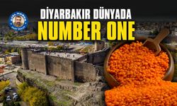 Diyarbakır dünyada number one