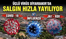 Üçlü virüs Diyarbakır’da, salgın hızla yayılıyor