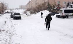 Van'da kar esareti; 61 yol kapalı