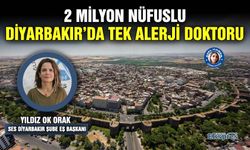 2 milyon nüfuslu Diyarbakır’da tek alerji doktoru