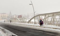 Ardahan'da dondurucu soğuk devam ediyor