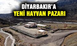 Diyarbakır’a yeni hayvan pazarı