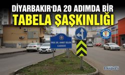 Diyarbakır'da 20 adımda bir tabela şaşkınlığı