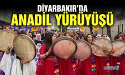 Diyarbakır’da anadil yürüyüşü