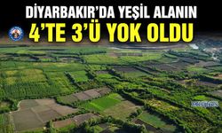 Diyarbakır’da yeşil alanın 4’te 3’ü yok oldu