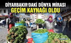 Diyarbakır'daki dünya mirası geçim kaynağı oldu