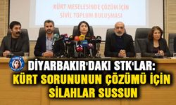 Diyarbakır'daki STK’lar: Kürt sorununun çözümü için silahlar sussun