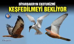 Diyarbakır'ın ekoturizmi keşfedilmeyi bekliyor