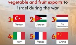 İsrail'e sebze meyve ihracatının 'şampiyonu Türkiye'