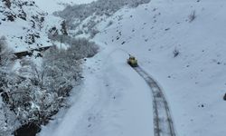 Kar yağışı nedeniyle 30 köy yolu ulaşıma kapandı