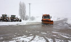 Erzincan’da mart karı