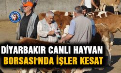 Diyarbakır Canlı Hayvan Borsası'nda işler kesat