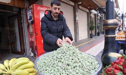Diyarbakır'da baharın müjdecisi çağla cep yakıyor